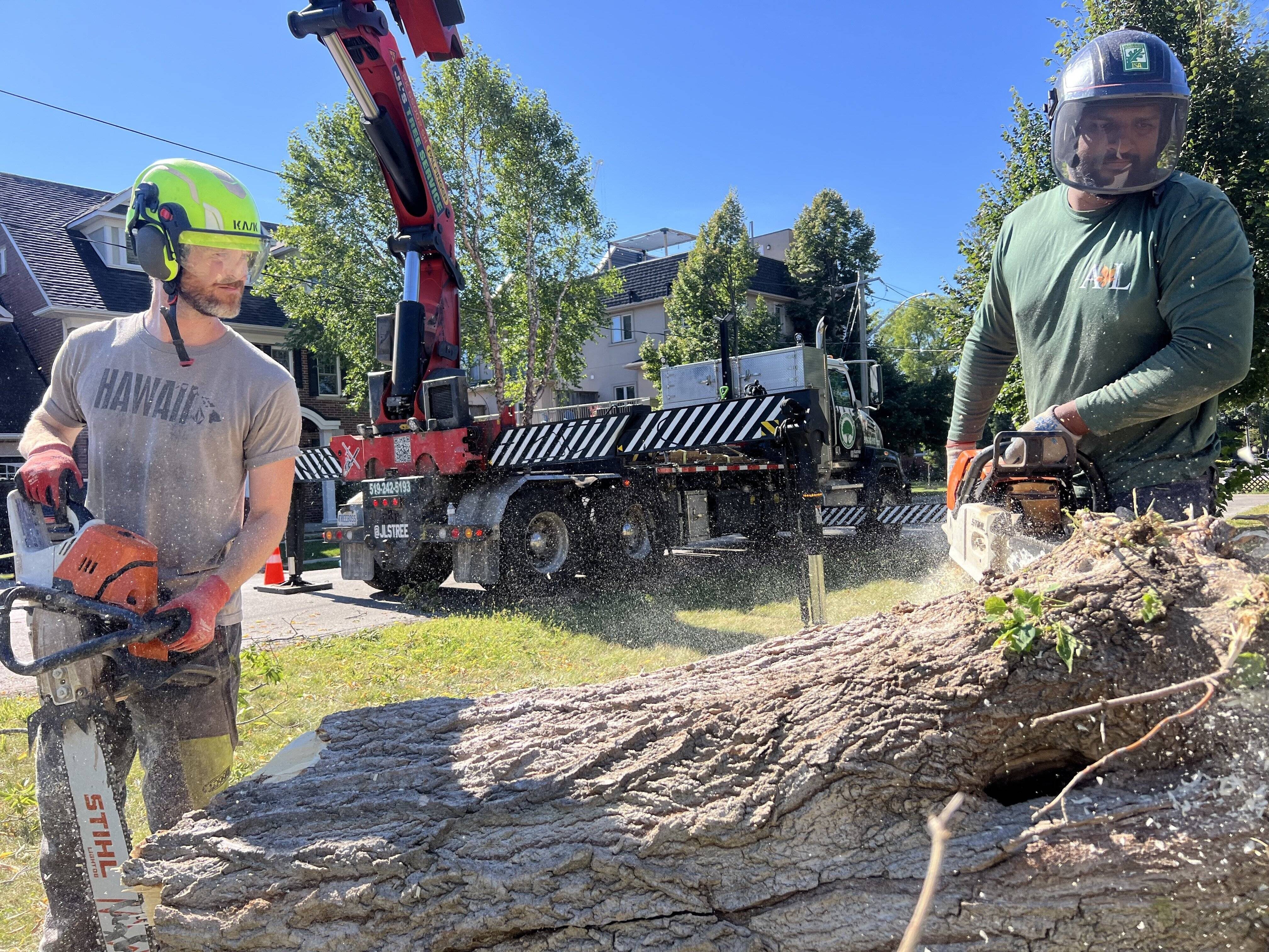 Emergency Tree Services